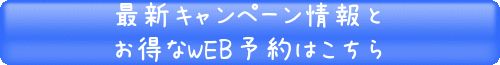 �~���[�ŐV�L�����y�[���Ƃ�����WEB�\��͂�����
